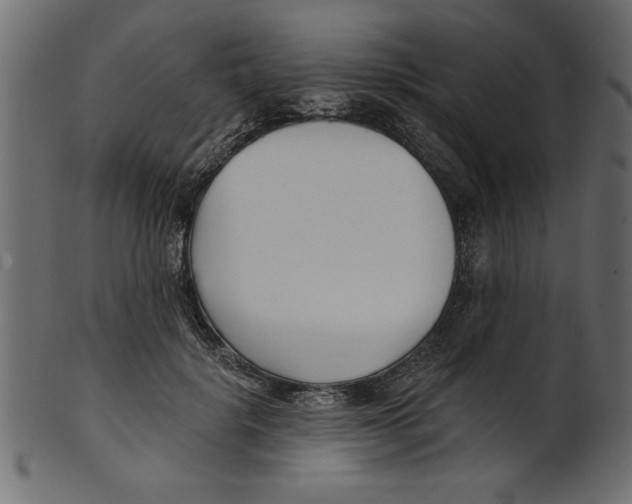 X0000100870652200807181237