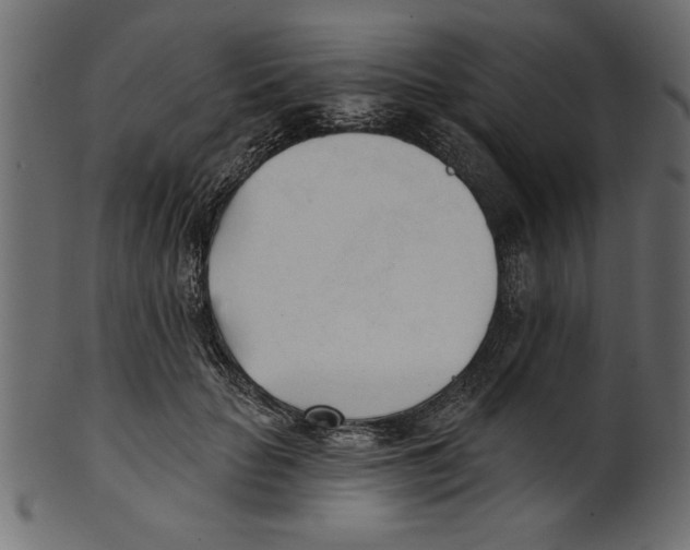X0000100870653200807181237
