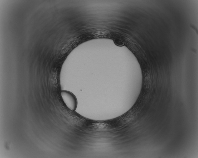 X0000100870654200807181237