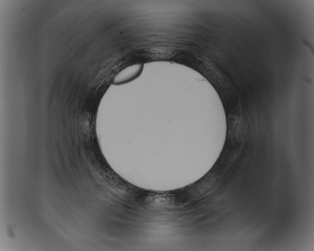 X0000100870655200807181237