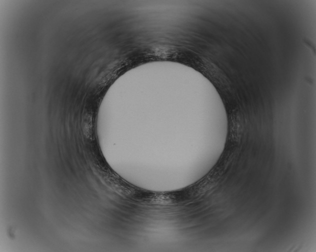 X0000100870656200807181237