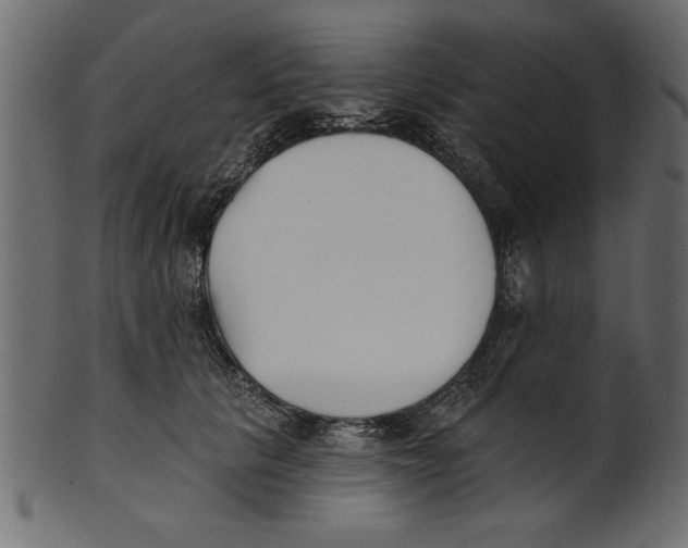 X0000100870657200807181237