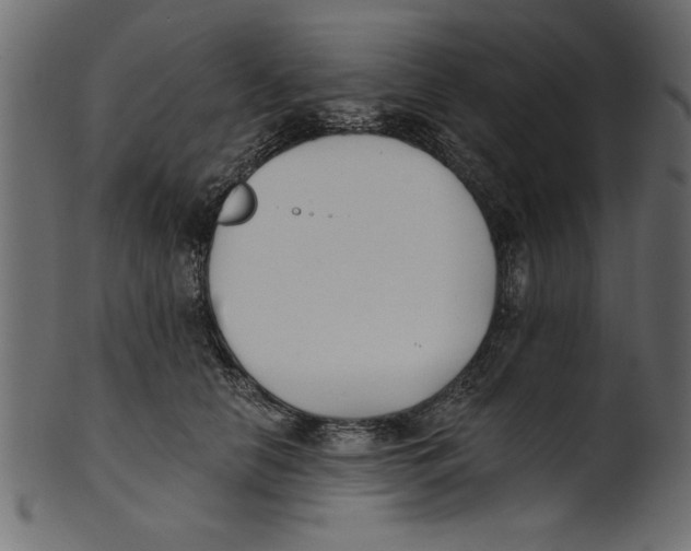 X0000100870658200807181237