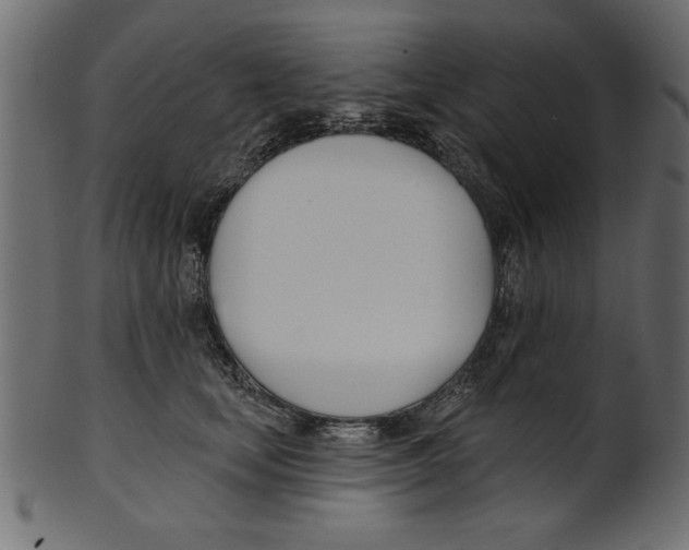 X0000100870659200807181237