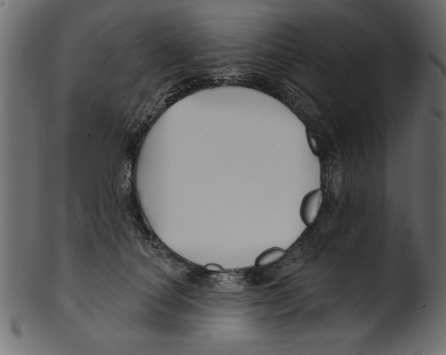 X0000100870660200807181237