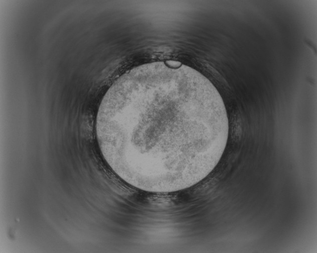 X0000100870661200807181237