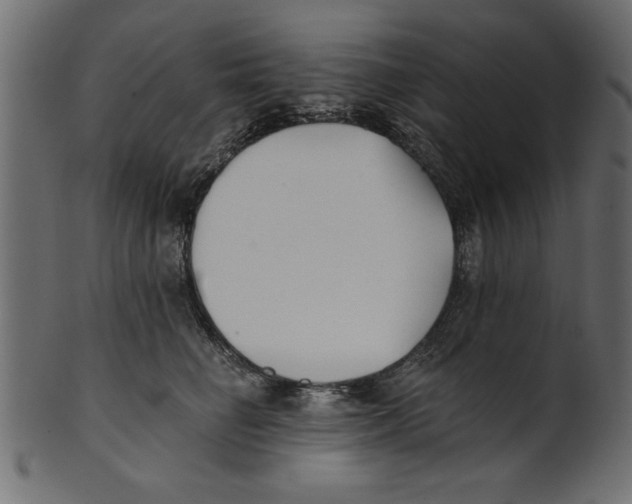 X0000100870662200807181237