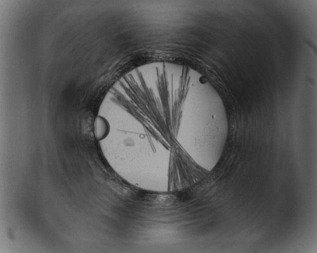 X0000100870663200807181237