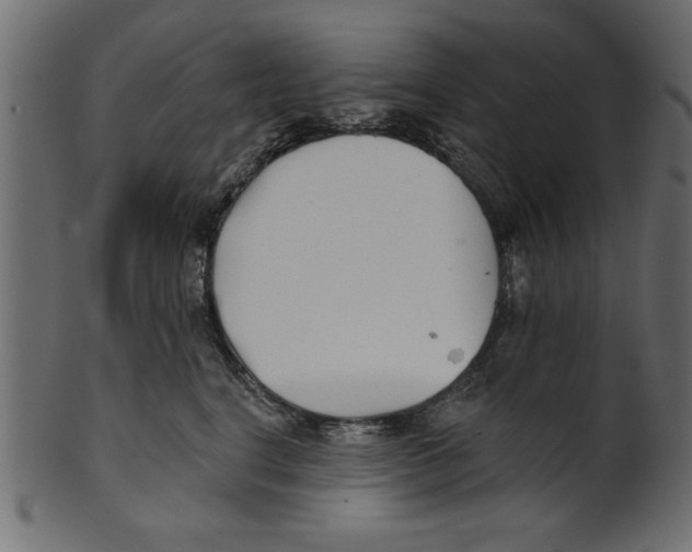 X0000100870664200807181237