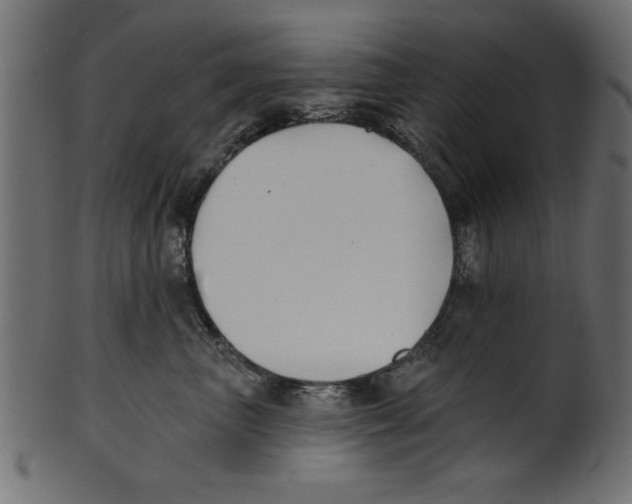 X0000100870667200807181237