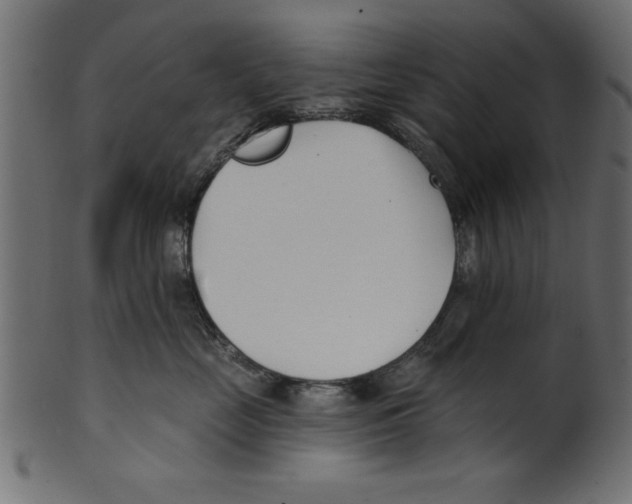 X0000100870669200807181237