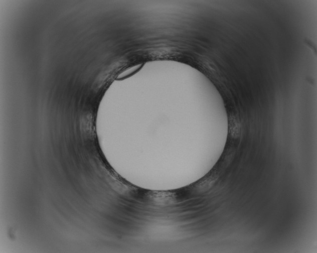 X0000100870670200807181237