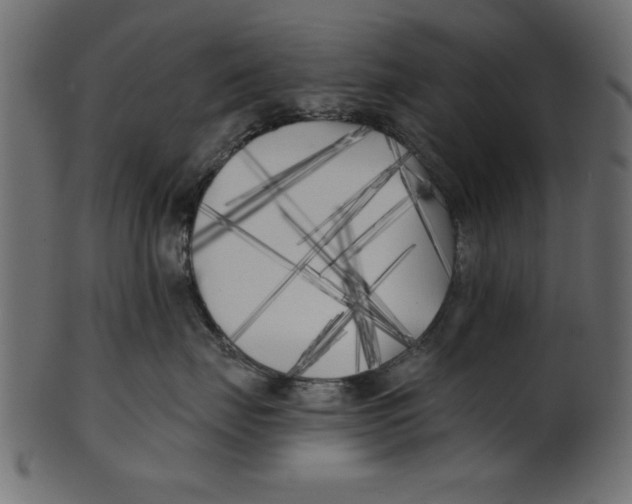X0000100870671200807181237