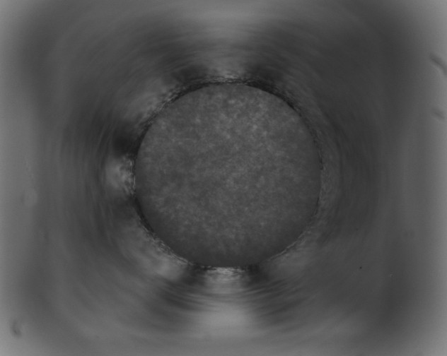 X0000100870672200807181238