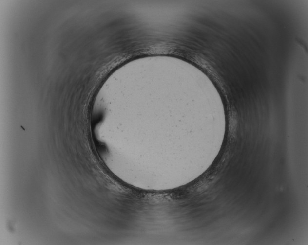 X0000100870673200807181237