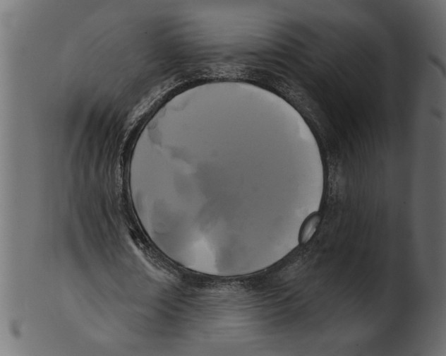 X0000100870674200807181237