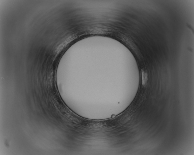 X0000100870675200807181237