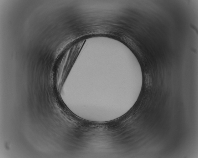X0000100870676200807181237