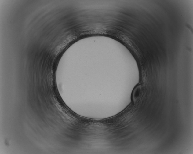 X0000100870677200807181237