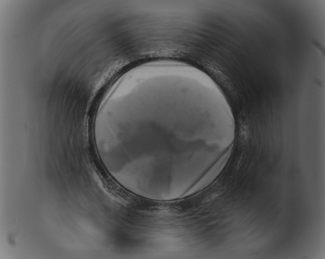 X0000100870678200807181237