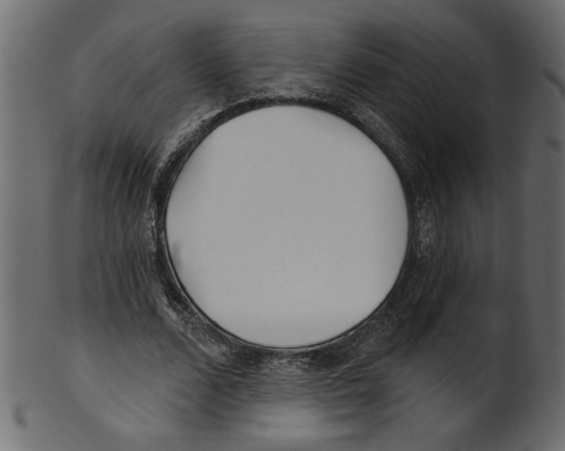 X0000100870680200807181237