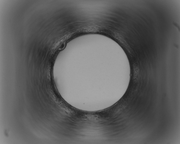X0000100870681200807181237