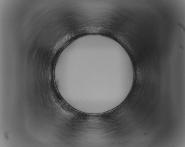 X0000100870682200807181237