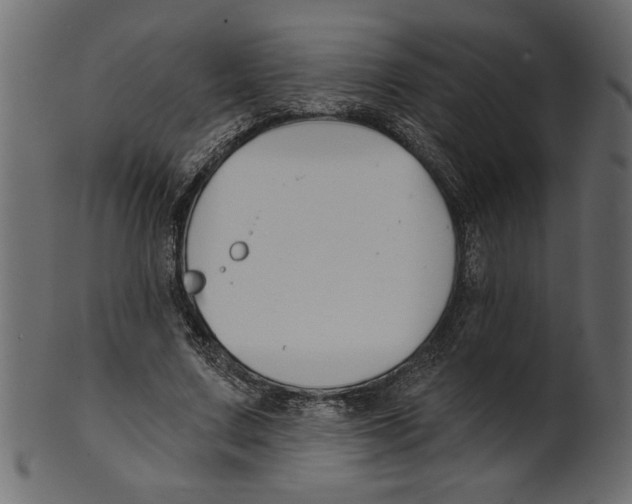 X0000100870683200807181237