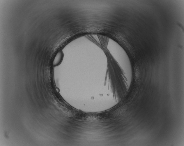 X0000100870684200807181237