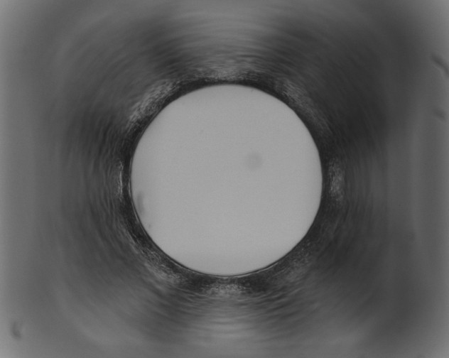 X0000100870685200807181237