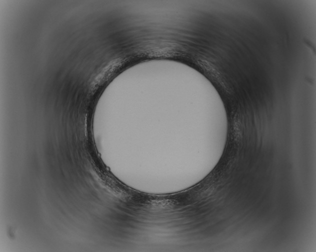 X0000100870686200807181237