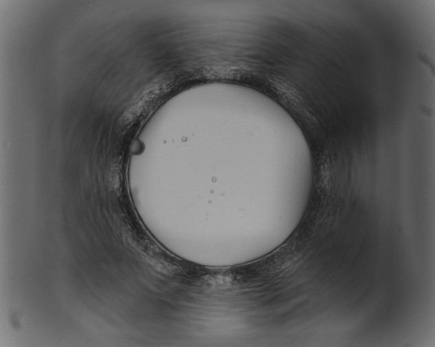 X0000100870687200807181237