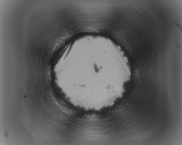 X0000100870688200807181237