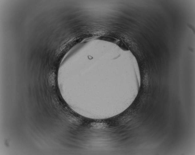 X0000100870689200807181237