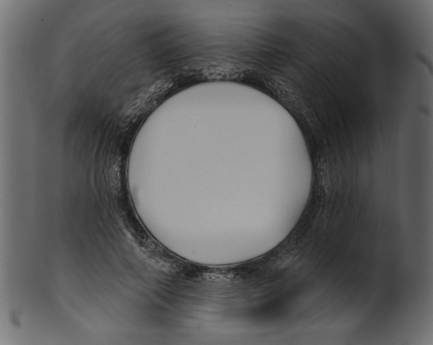 X0000100870690200807181237