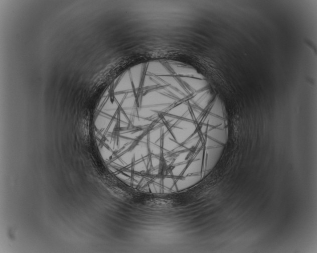 X0000100870691200807181237