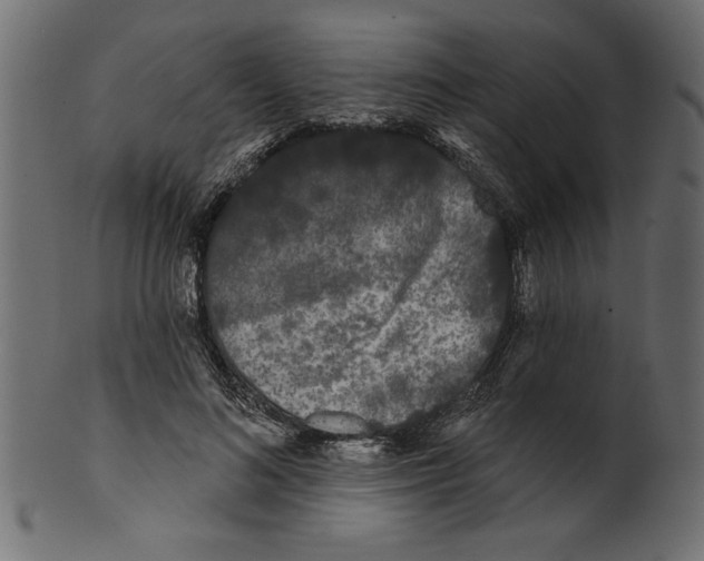 X0000100870692200807181237