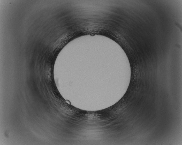 X0000100870693200807181237