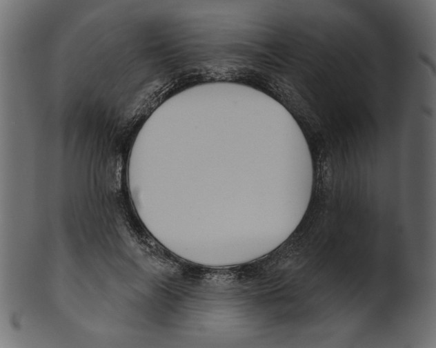 X0000100870694200807181237