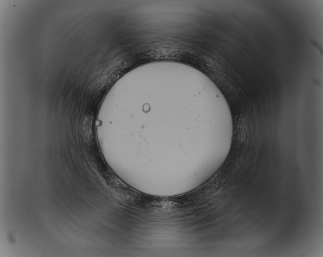X0000100870695200807181237