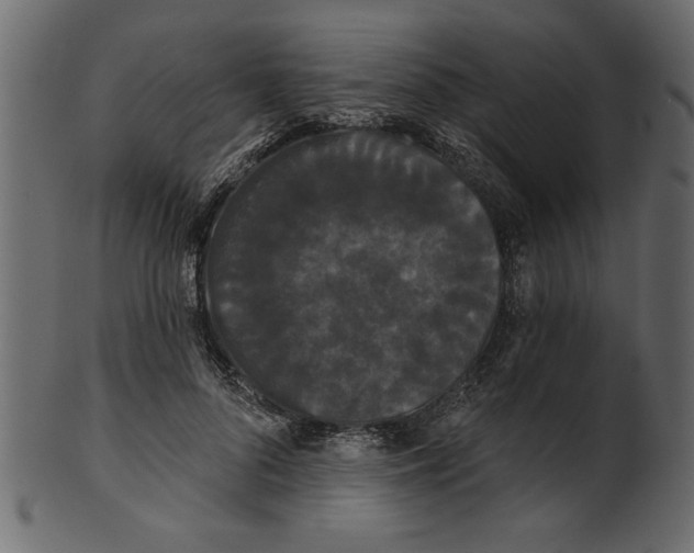 X0000100870696200807181237