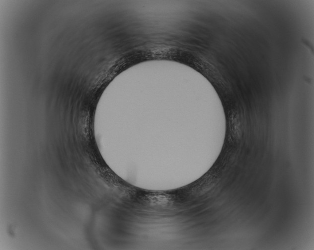 X0000100870698200807181236