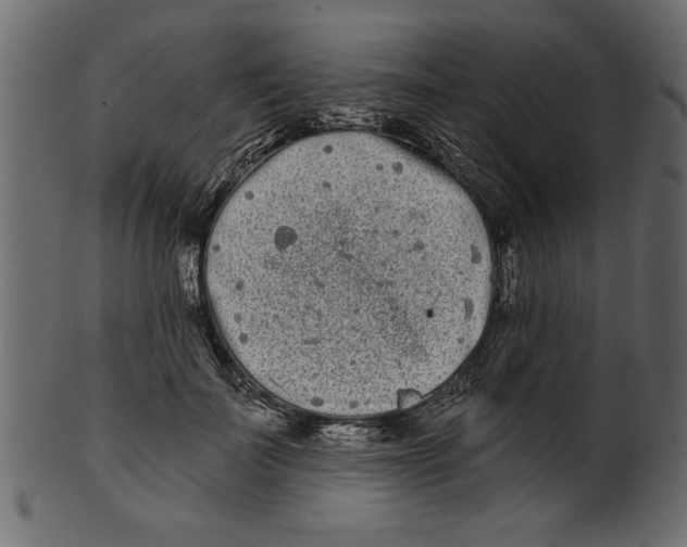 X0000100870699200807181236