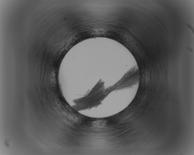 X0000100870700200807181236