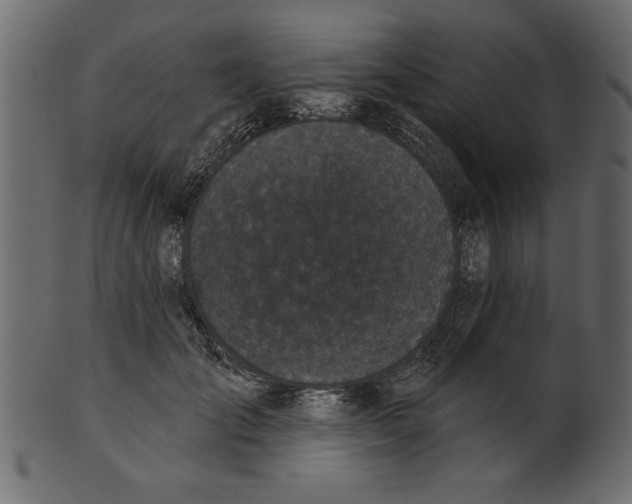X0000100870701200807181236