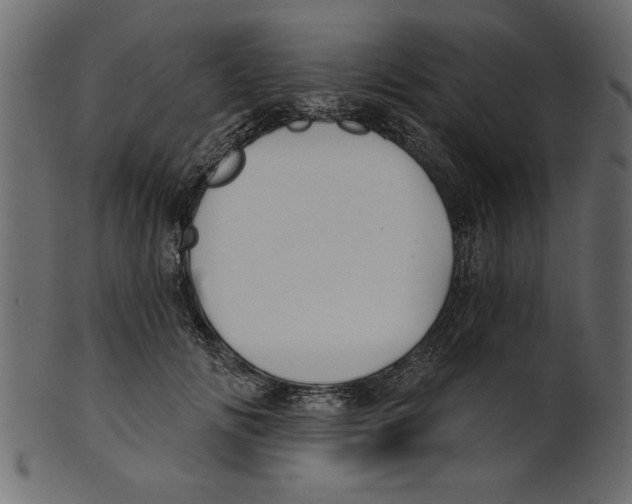 X0000100870702200807181236