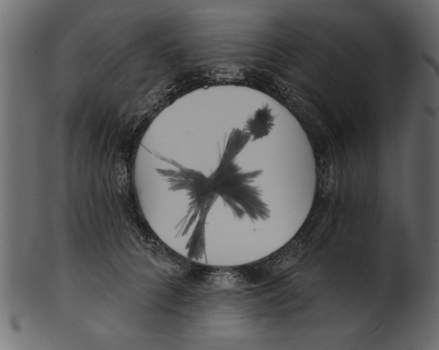 X0000100870704200807181236