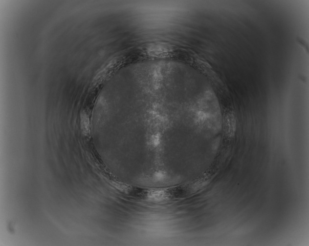 X0000100870705200807181236
