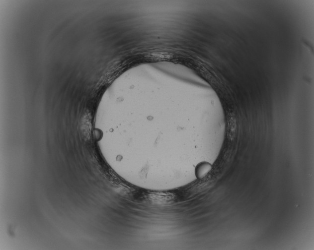X0000100870707200807181236