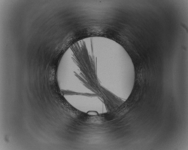 X0000100870708200807181236